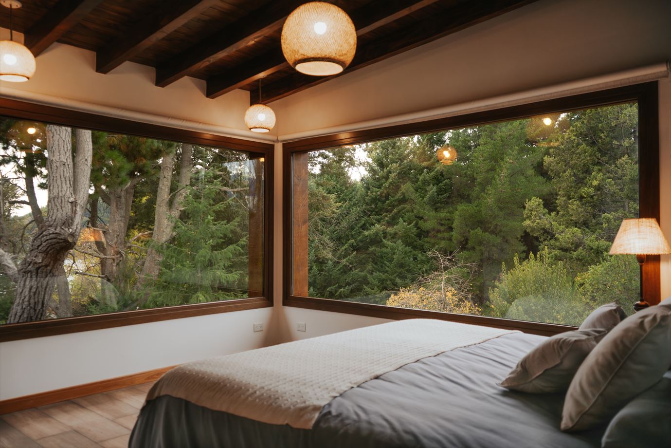 Suite with forest view
