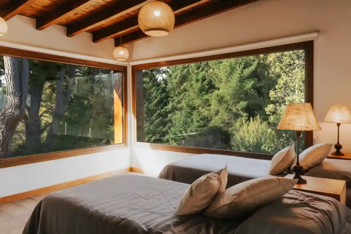 Forest views from the master bedroom at sunrise