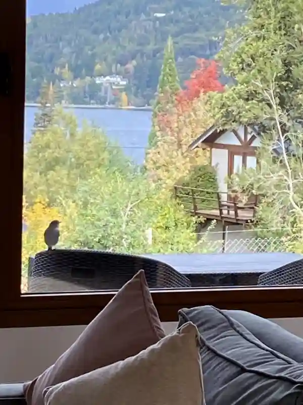 Views with a small bird perched on the deck