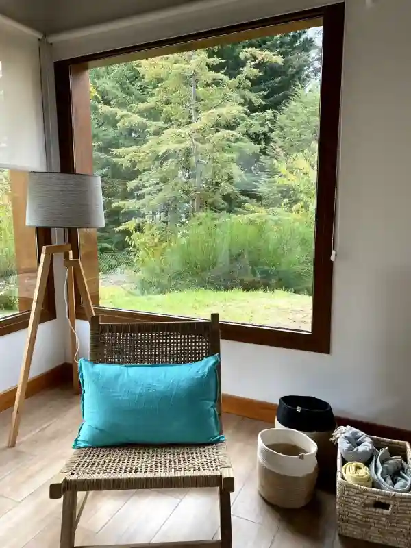 Cozy corner of the living room