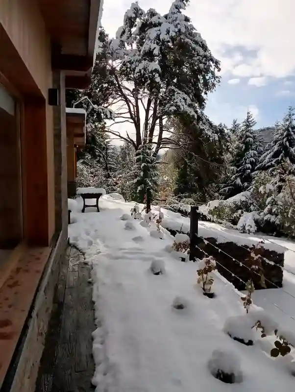 snowy front garden
