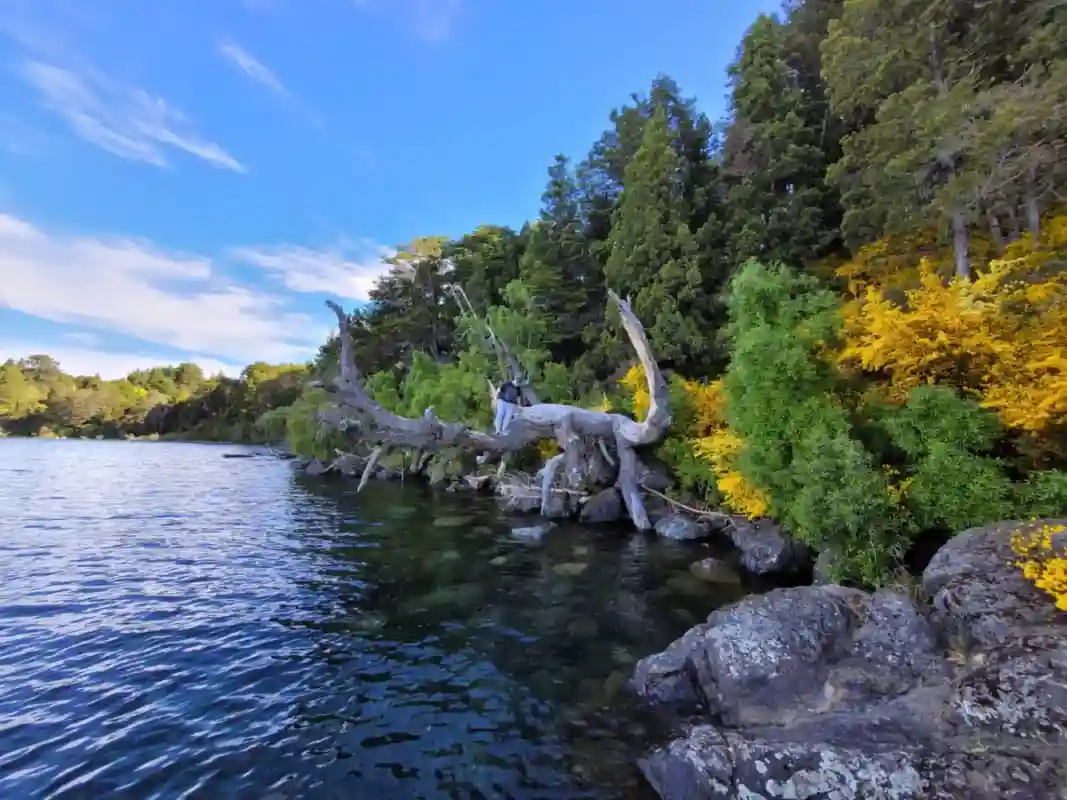 Coast of Lake Nahuel Huapi in Bariloche