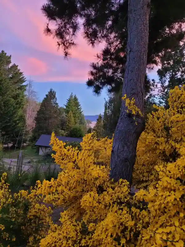Lake views from the house at sunset