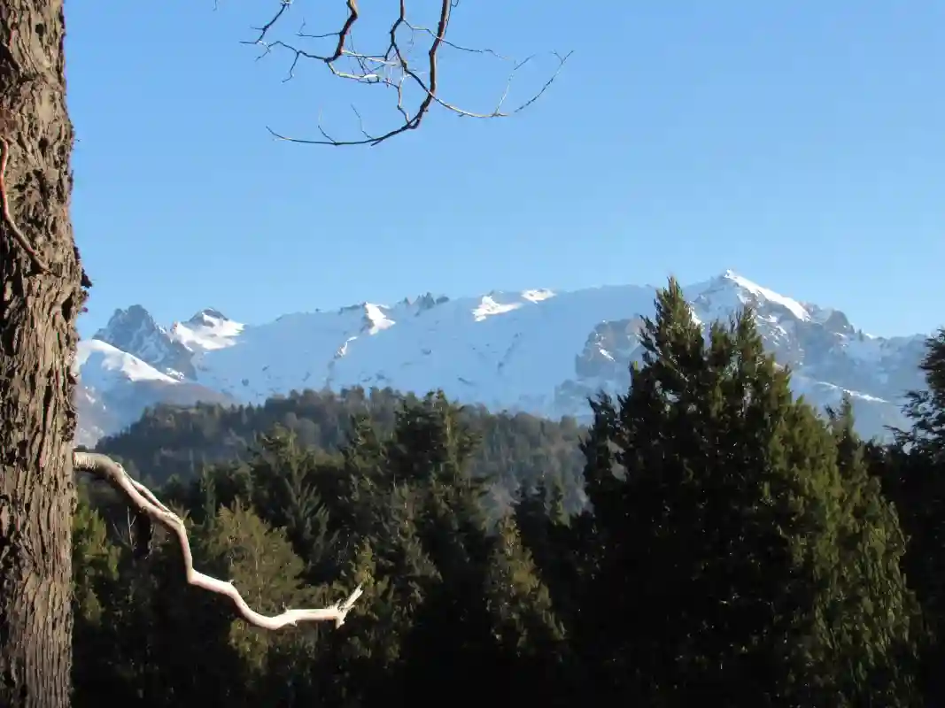 Views of the mountains 300 meters from Cinco Cumbres
